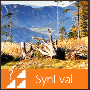 files/content/all/images/SynEval_180x180.png